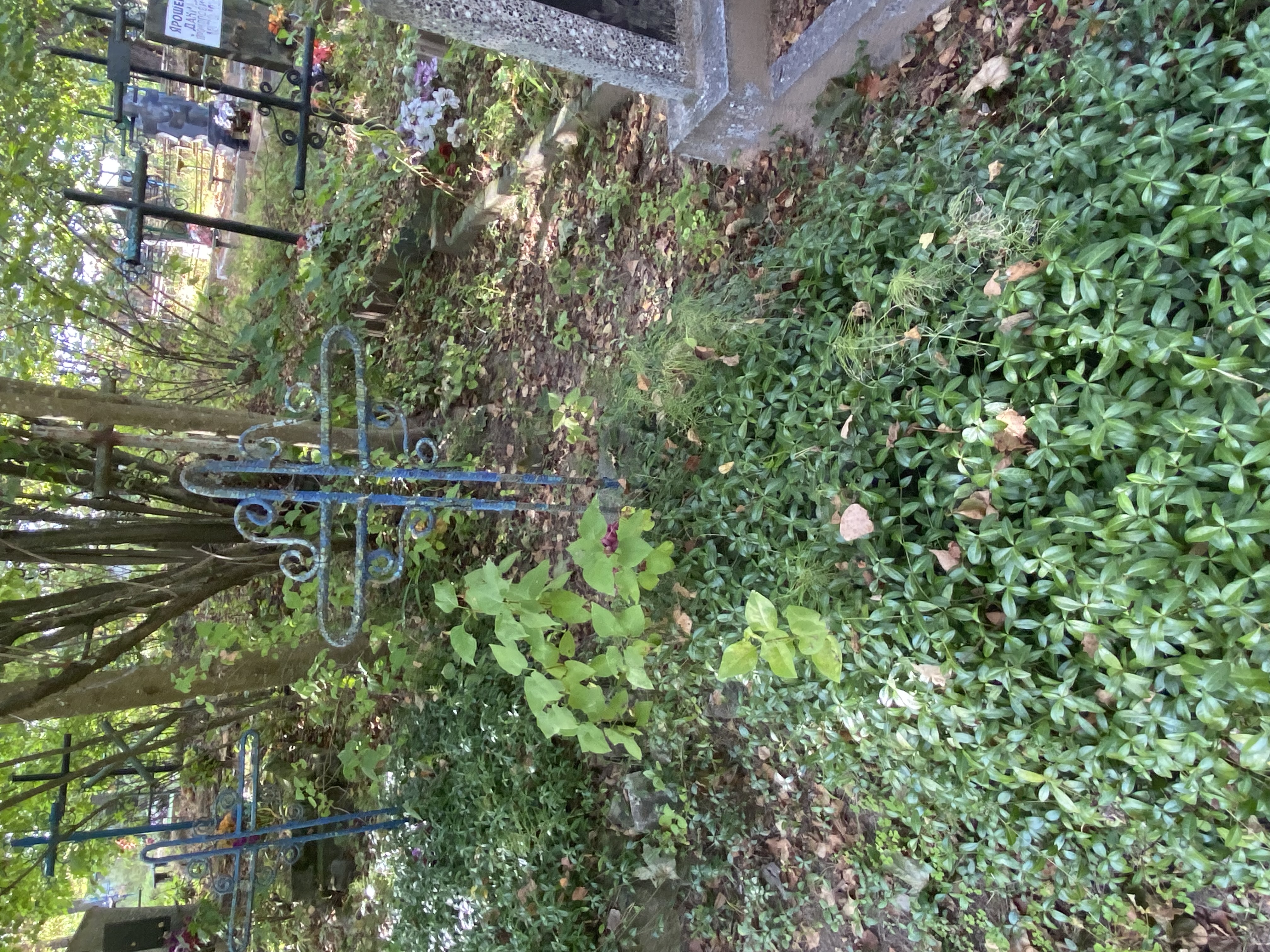 Фотография надгробия